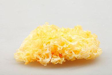 科隆：回合制历史策略《Ara: History Untold》新预告